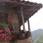 Gospodarstwo wiejskie El Colladin *