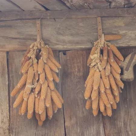 El Colladin Landhaus
