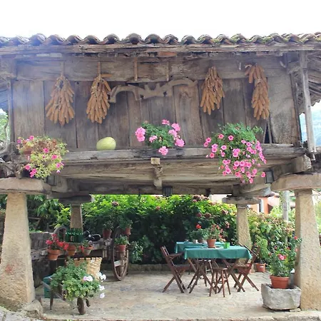 El Colladin Country house *