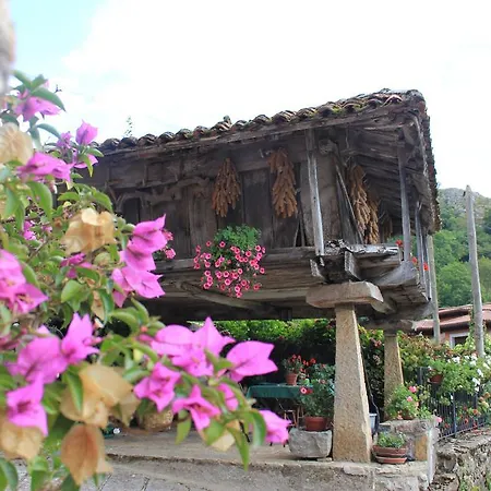El Colladin Country house