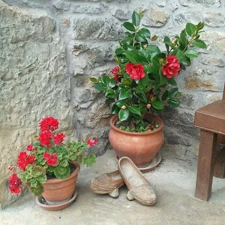 El Colladin Séjour à la campagne